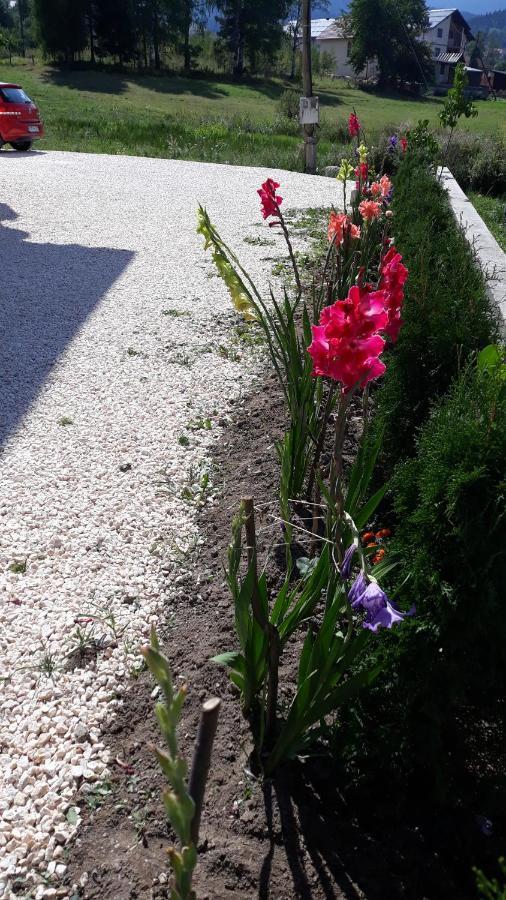 Apartment Gajovic *
